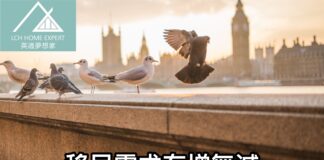 移民需求有增無減 港人倫敦置業上升1.44倍